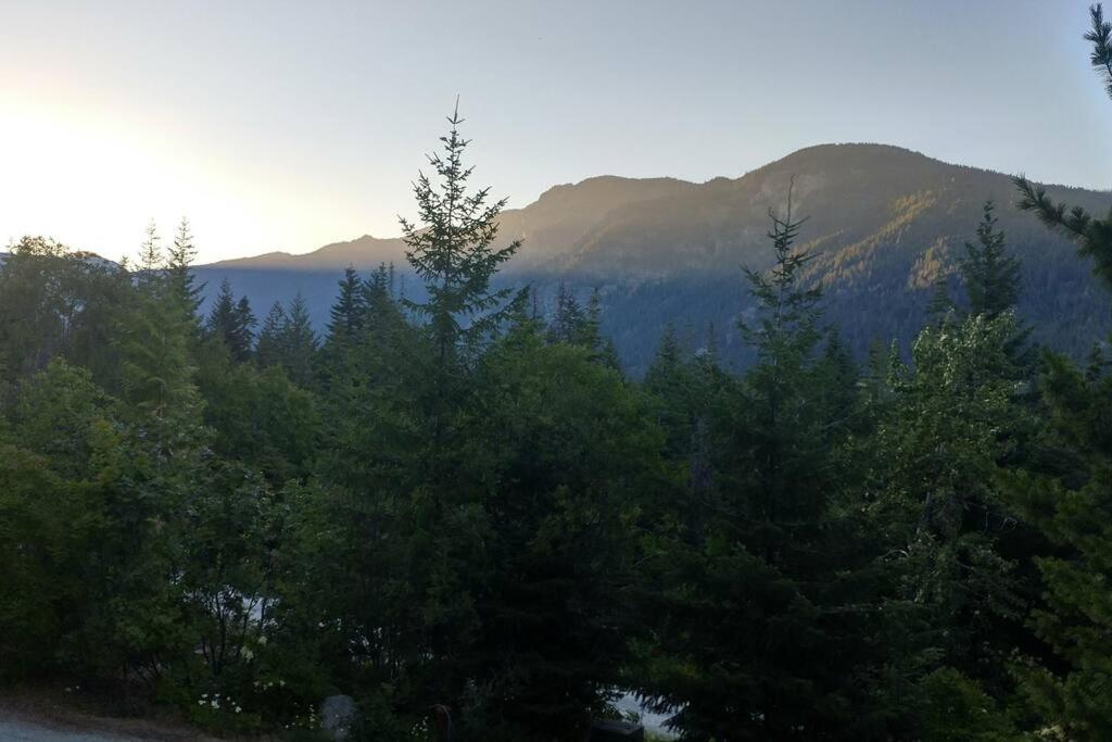 Hot Tub Cool Views: Roaring Creek Cabin Leavenworth Extérieur photo