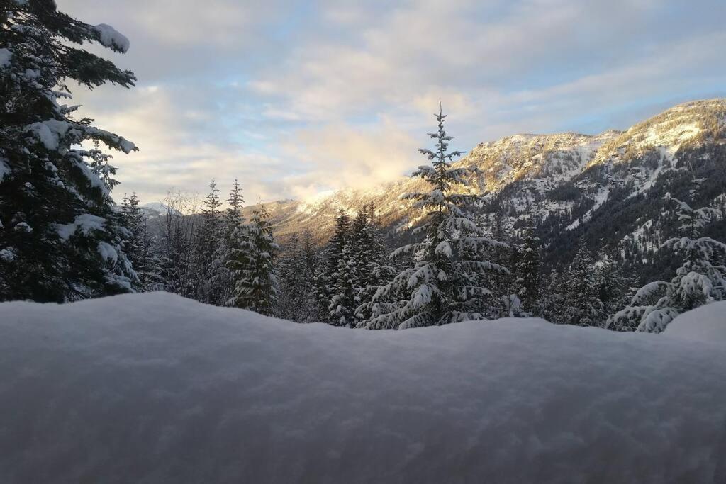 Hot Tub Cool Views: Roaring Creek Cabin Leavenworth Extérieur photo